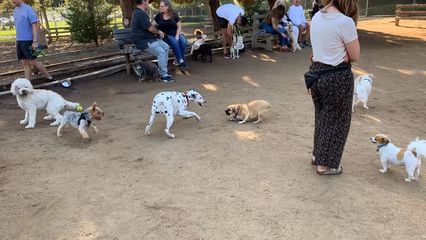 Dog Park at Airport Park
